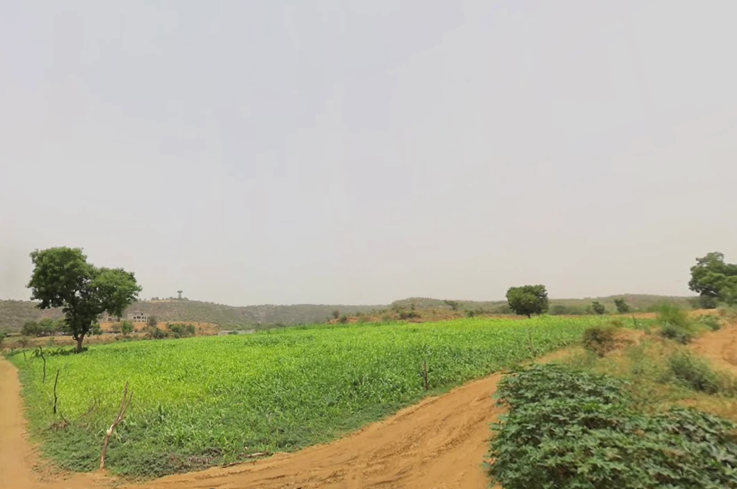 Neemrana, Rajasthan, India