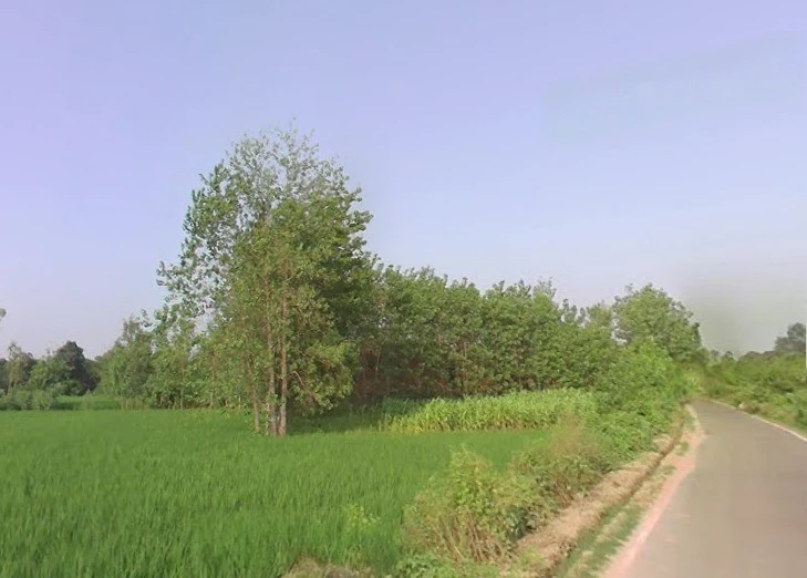 Rampur Nagla Chatol, Uttar Pradesh 204211, India