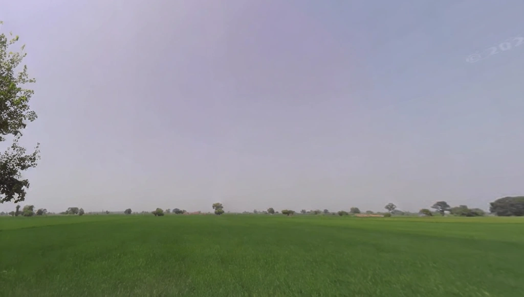 7472+Q69, Panipat, Matnauli, Haryana 132122, India