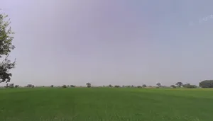 7472+Q69, Panipat, Matnauli, Haryana 132122, India preview 3