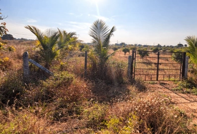 PHR2+JW Veldanda, Telangana, India