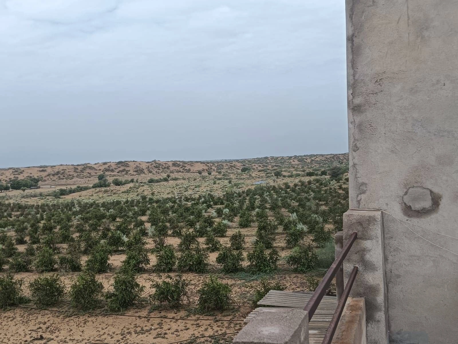 9M9C+5HH, Bikaner, Makeri, Rajasthan 334808, India preview 3