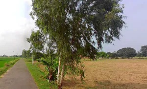 Jansath, Uttar Pradesh 251314, India preview 3