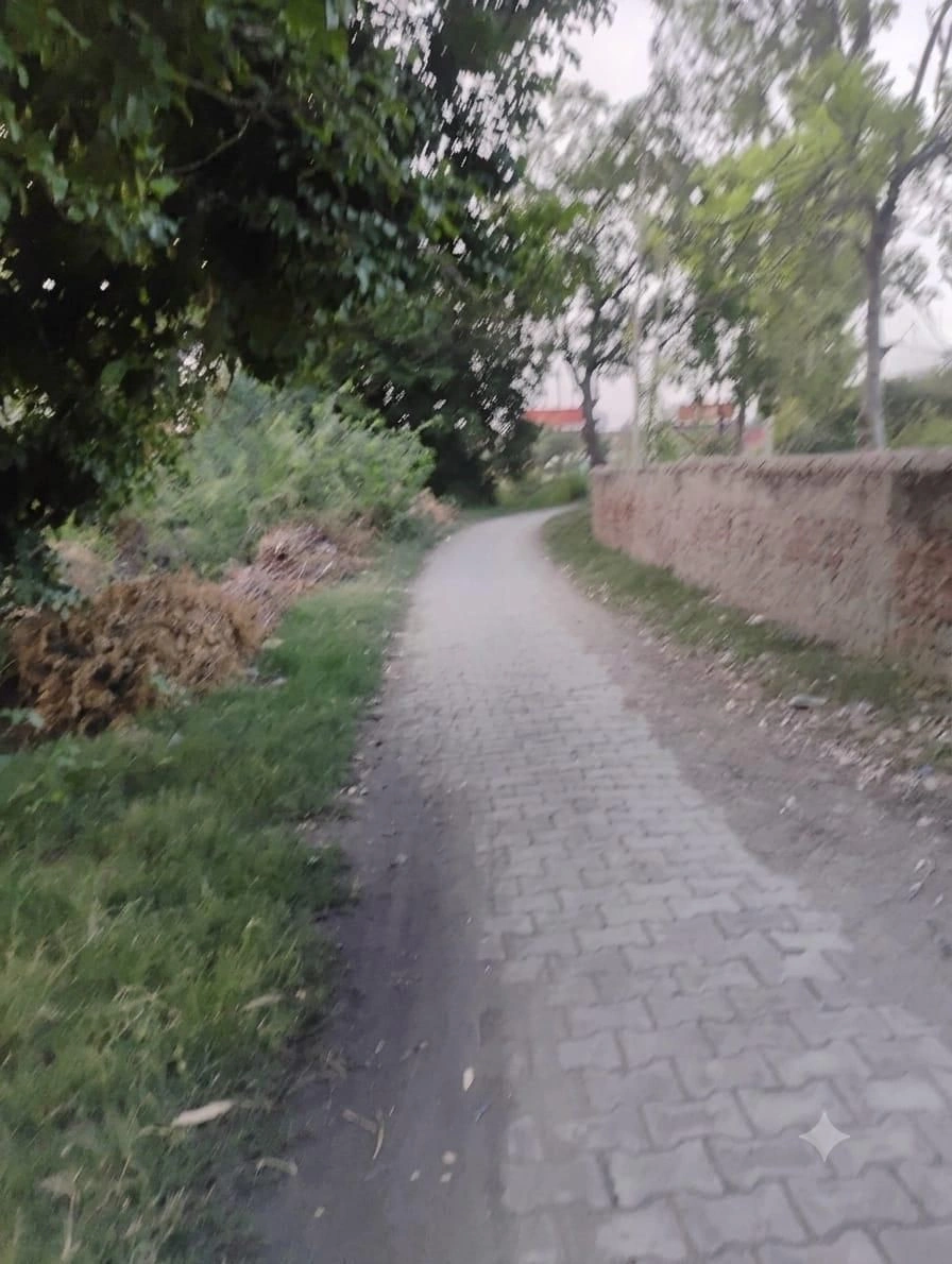 Gauhari, Uttar Pradesh 281401, India