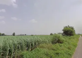 3H78+VPH, Baram, Uttar Pradesh 250502, India preview 2