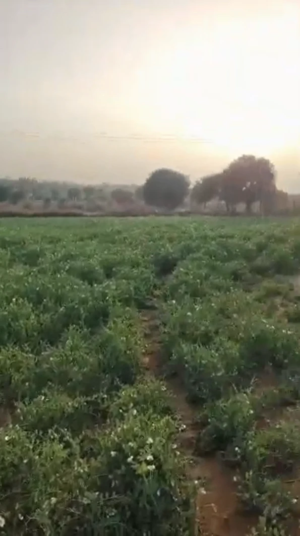 J3QR+CV Dantri, Jaipur, Rajasthan, India