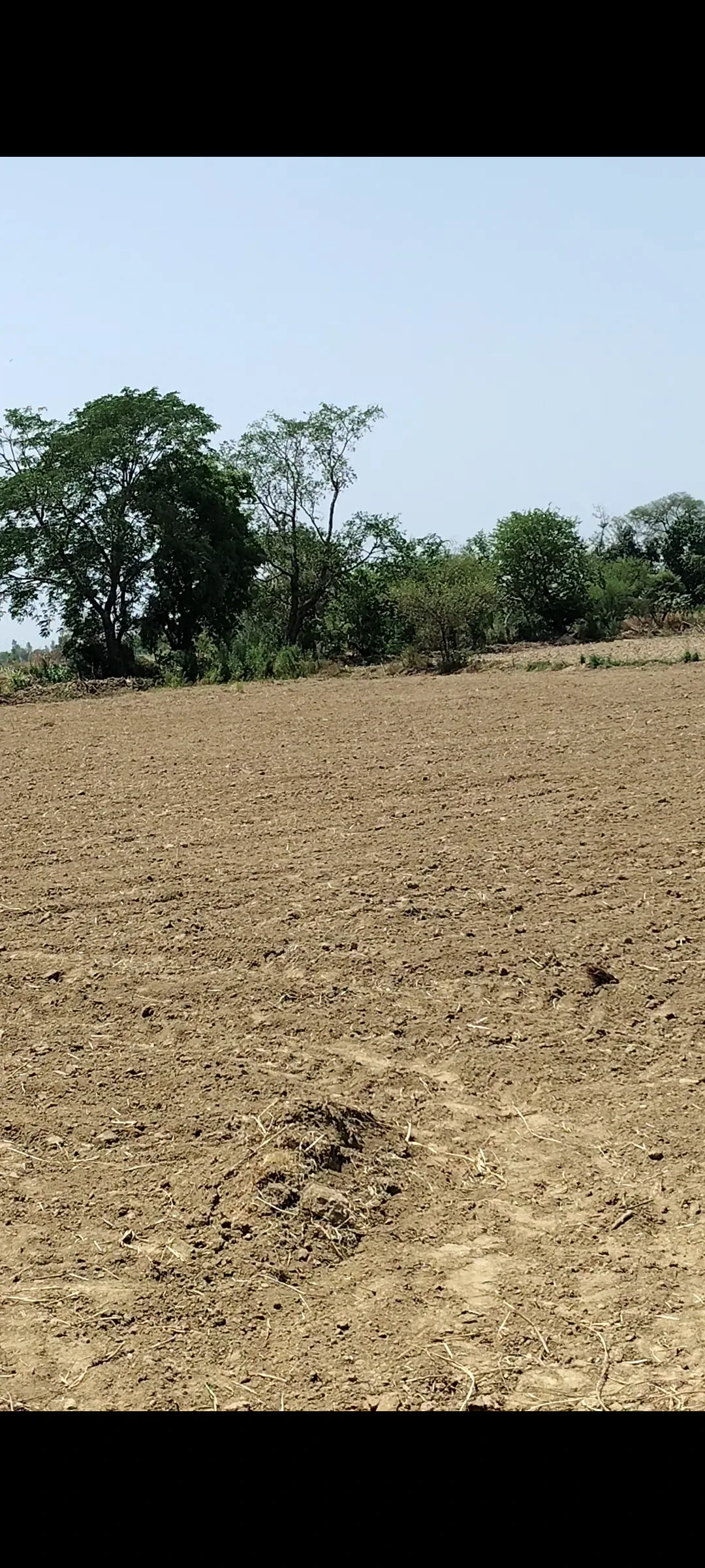 Bhagosa, Govardhan, Mathura, Uttar Pradesh, India