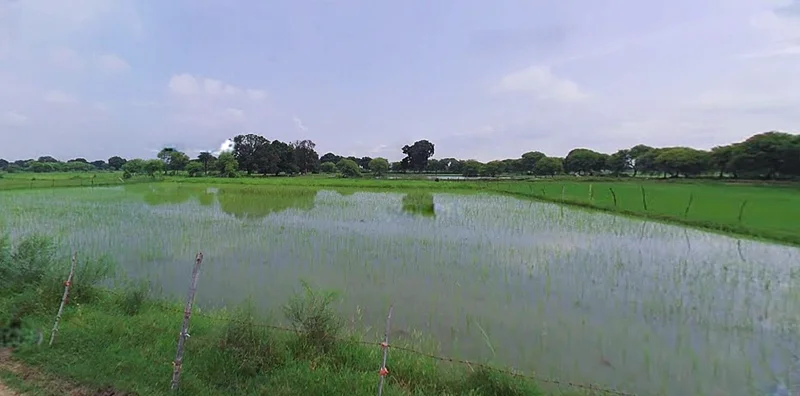 Jewar, Uttar Pradesh 203135, India preview 3