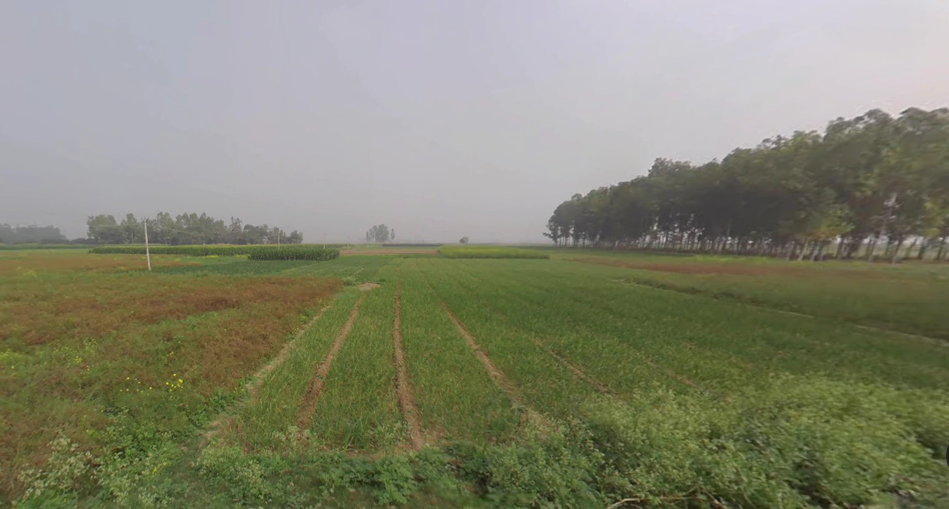 Belgharia Main Rd, Belgharia, Payradanga, West Bengal, India