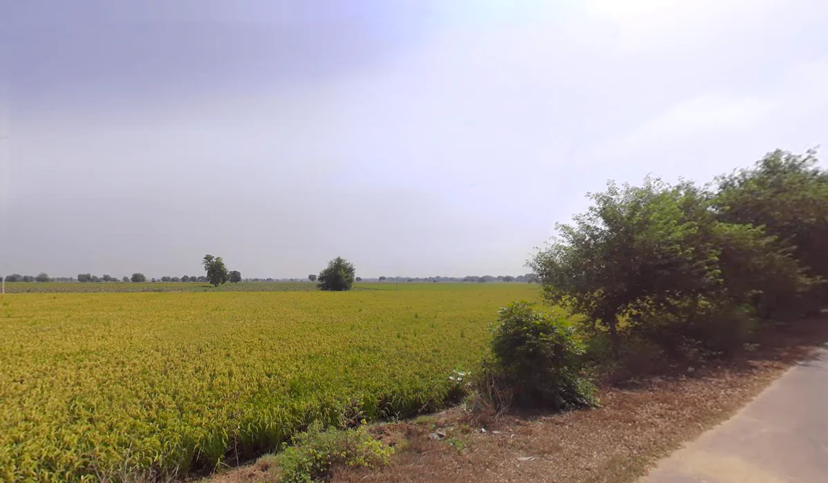 Khunan, Haryana 125051, India preview 3