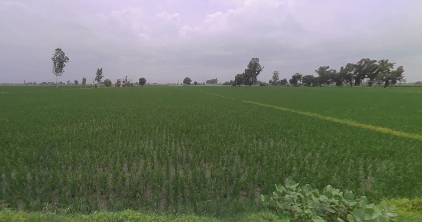 Nurpur Bedi, Punjab 140117, India