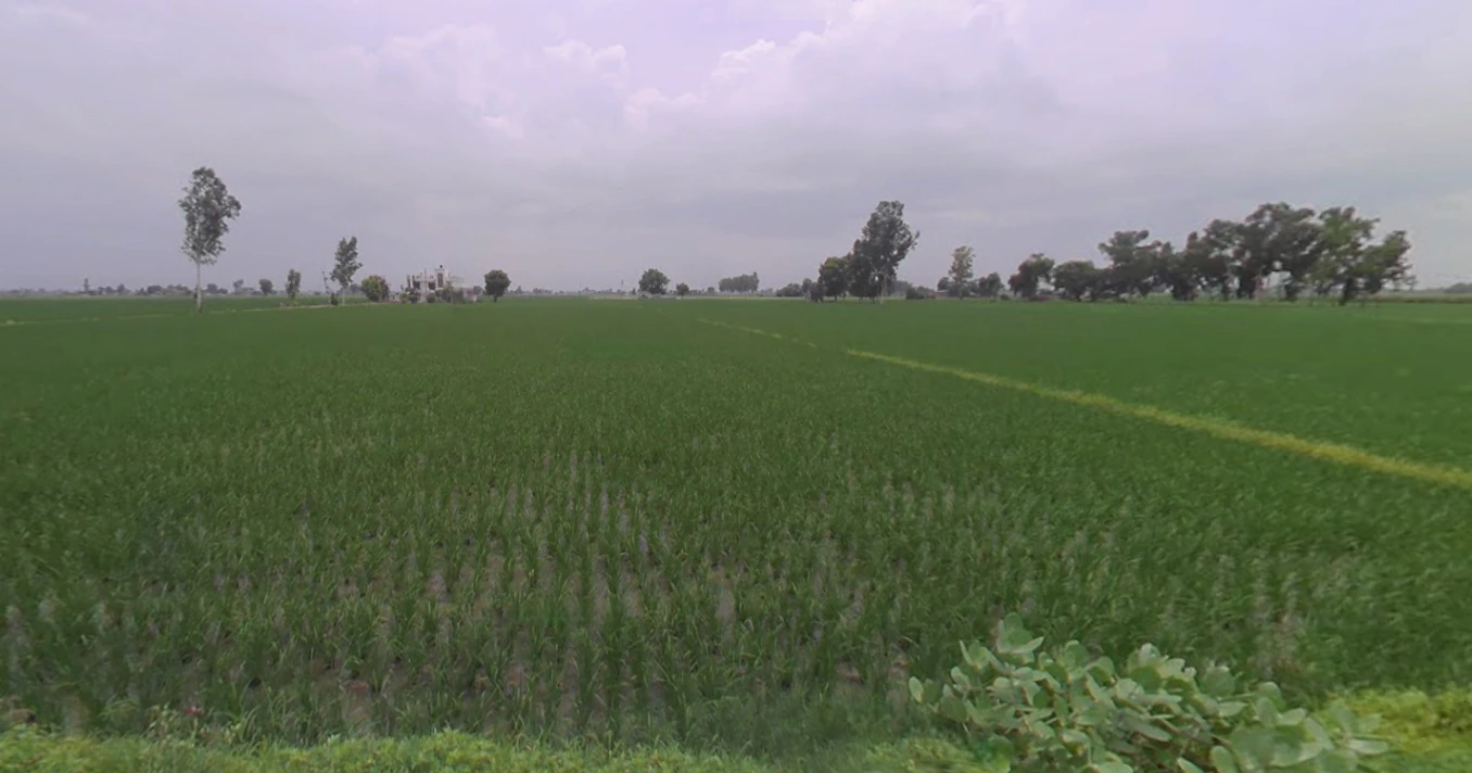 Nurpur Bedi, Punjab 140117, India