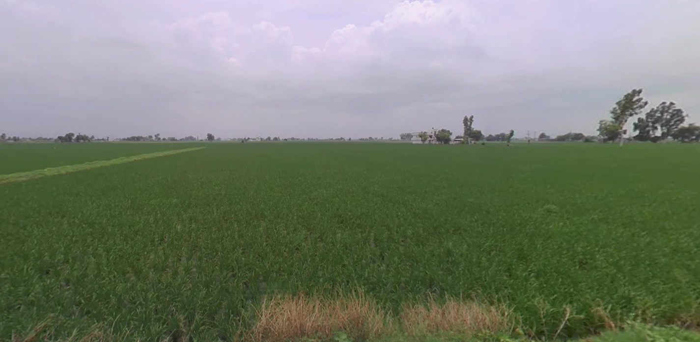 Nurpur Bedi, Punjab 140117, India