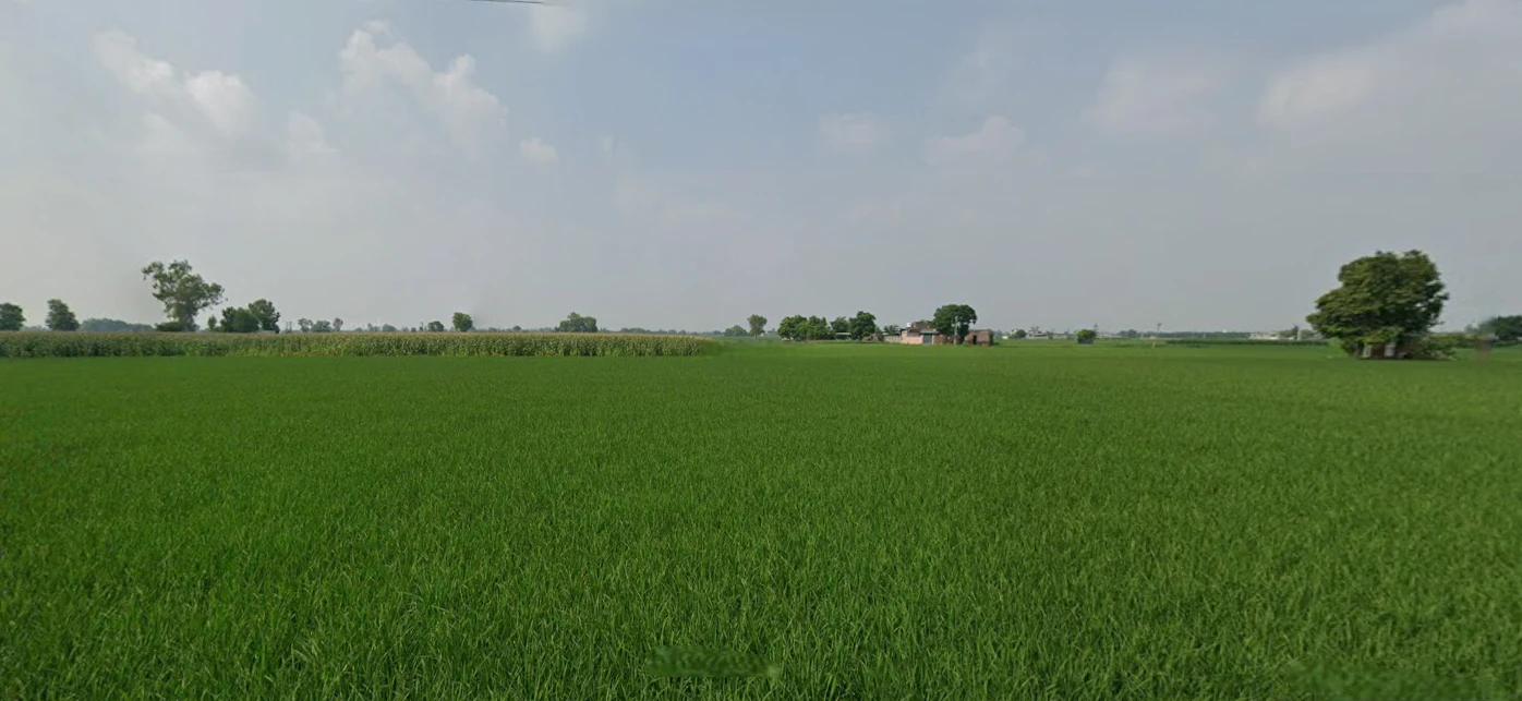 Nurpur Bedi, Punjab 140117, India
