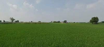 Nurpur Bedi, Punjab 140117, India preview 3