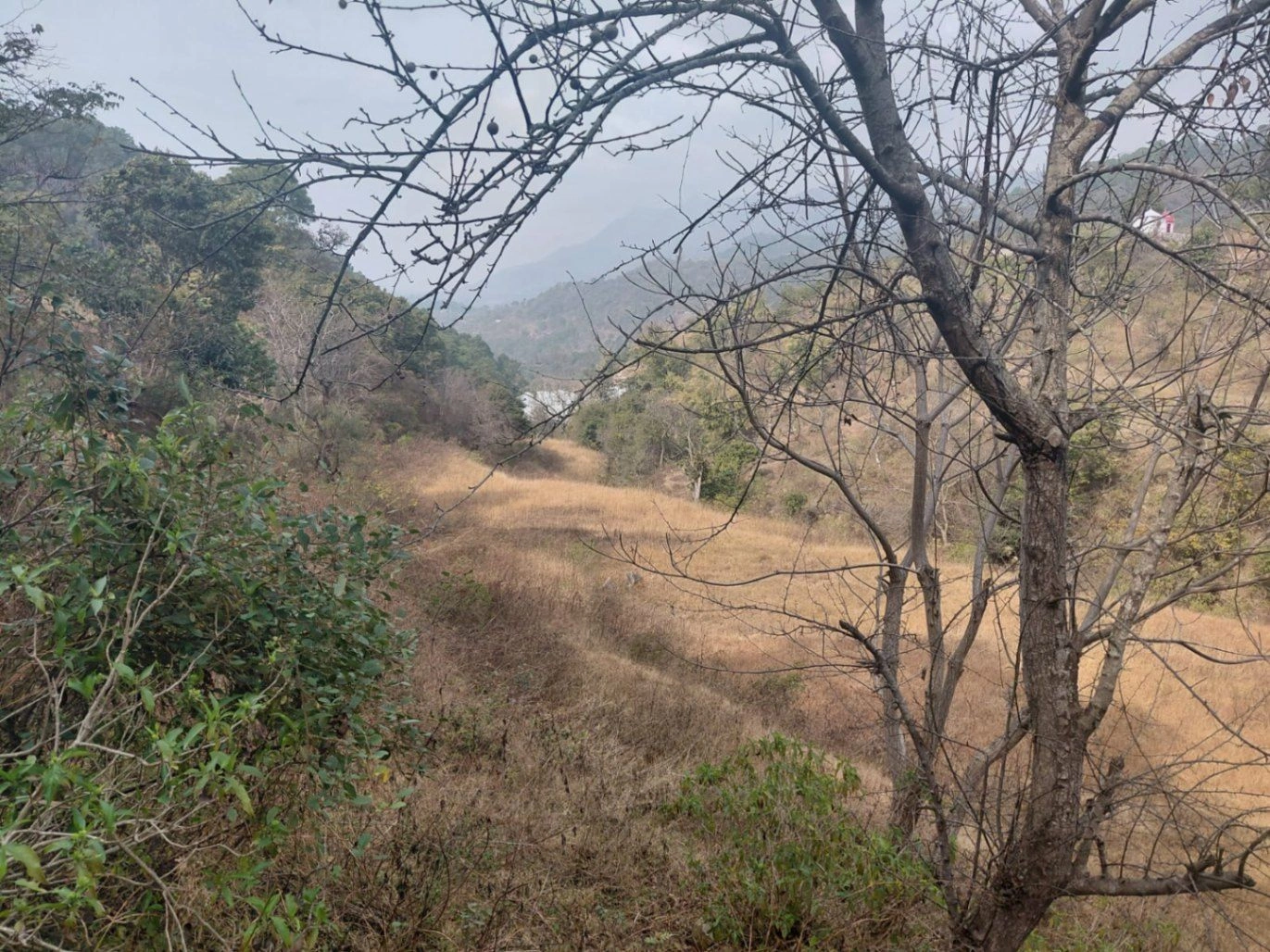Morni Hills, Haryana, India