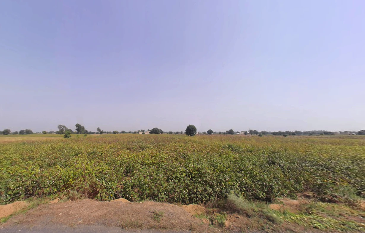 Ghursal, Haryana 125052, India