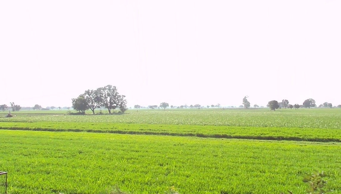 Bangrasia, Bhopal, Madhya Pradesh, India preview 3