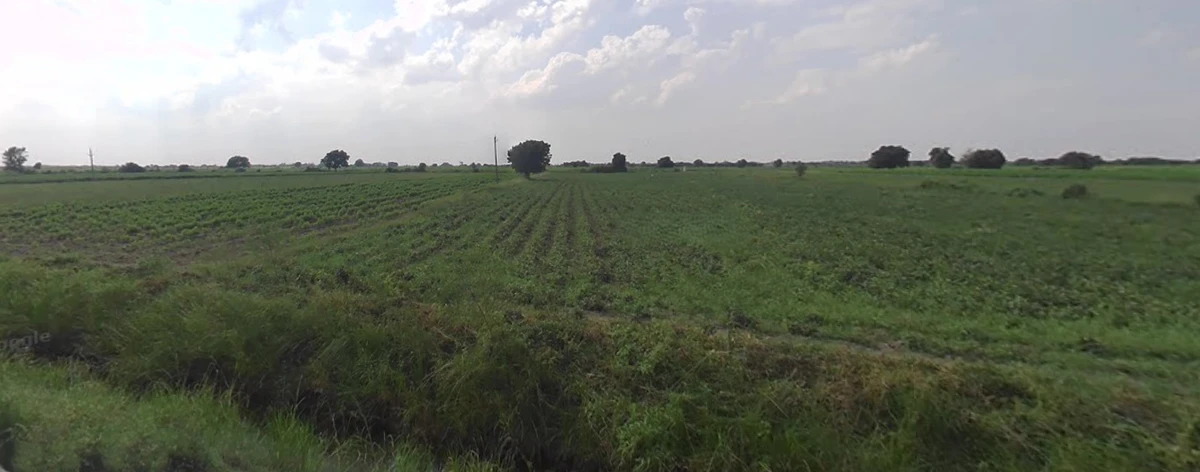 C478+VFG, Nani Moldi, Gujarat 363520, India