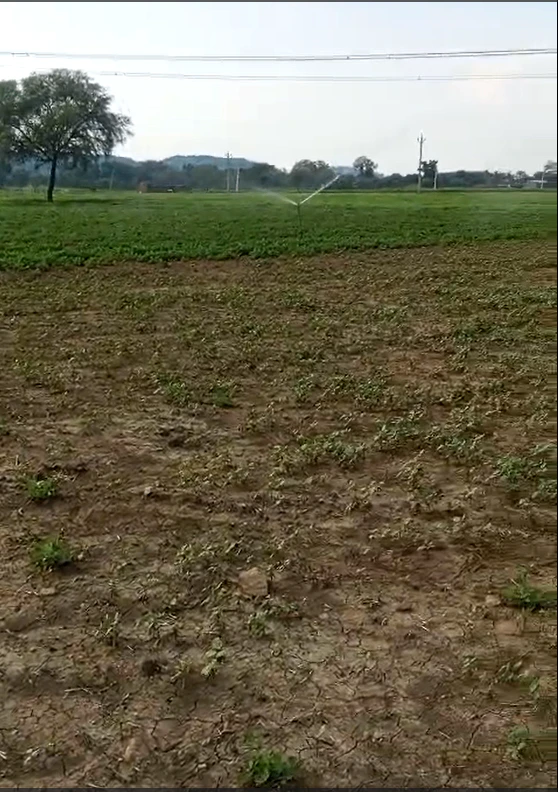 Ganj Tiraha, Chhatarpur, Bada Malhera, Madhya Pradesh 471311, India