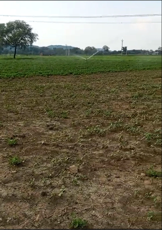 Ganj Tiraha, Chhatarpur, Bada Malhera, Madhya Pradesh 471311, India