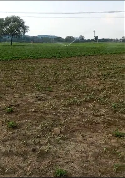 Ganj Tiraha, Chhatarpur, Bada Malhera, Madhya Pradesh 471311, India preview 2