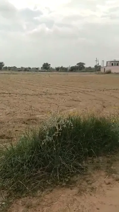 22JR+FV Bhusawar, Bharatpur, Rajasthan, India preview 3