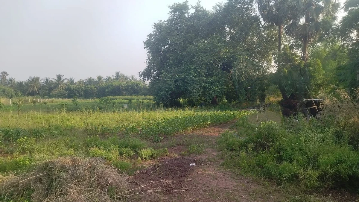 450, Sultanabad, Surat, Dumas, Gujarat 394550, India