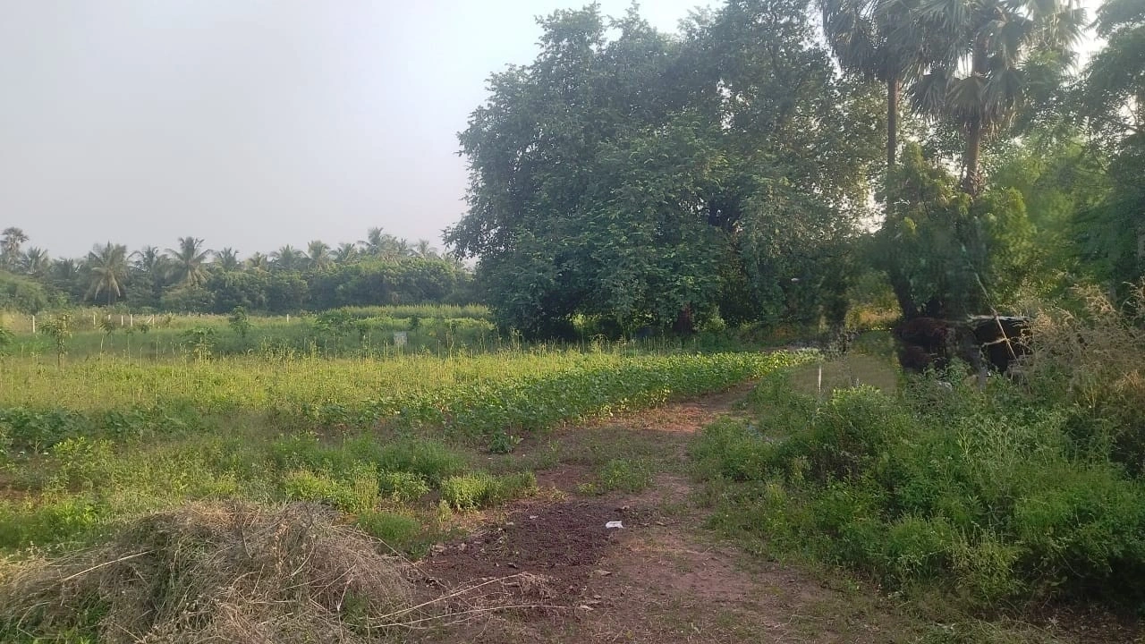 450, Sultanabad, Surat, Dumas, Gujarat 394550, India