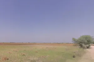 Chaksu, Rajasthan 303901, India preview 2
