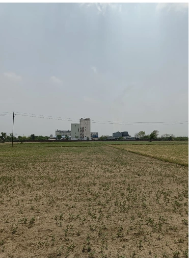 Aliganj, Raisen, Madhya Pradesh, India