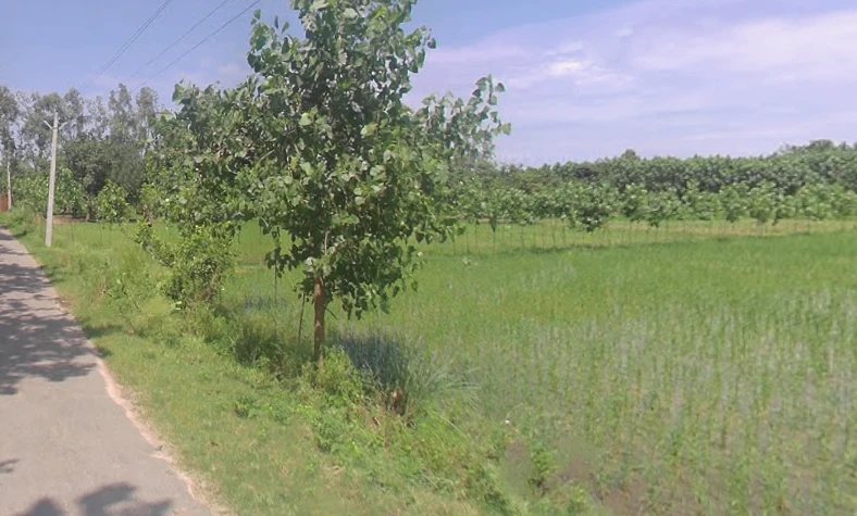 Punwarka, Uttar Pradesh 247120, India
