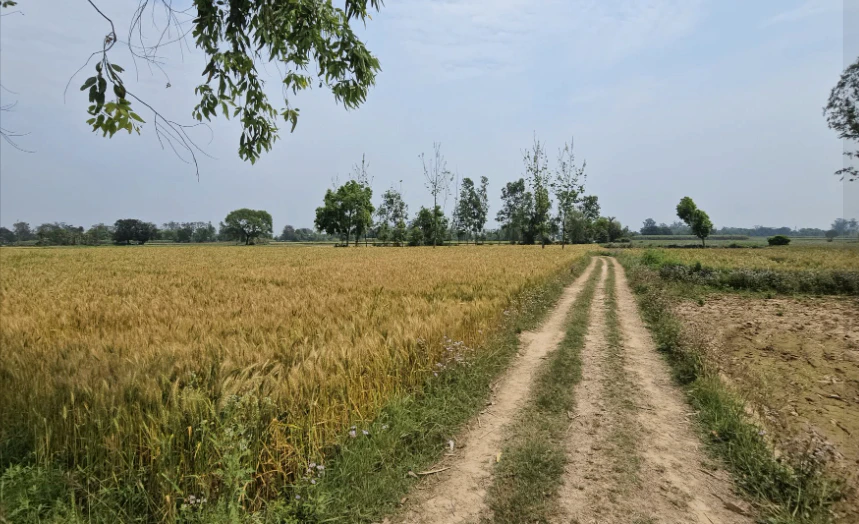 2RWM+F47, Ranga Reddy, Sologutta Tanda, Telangana 508245, India