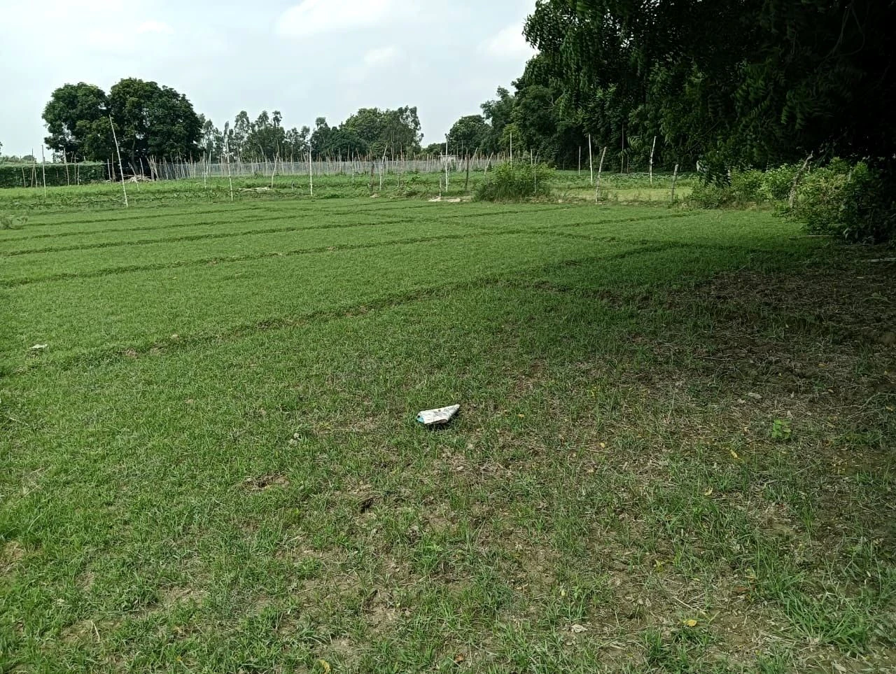 H2VV+2HR, Lucknow, Dedhari, Uttar Pradesh 226302, India