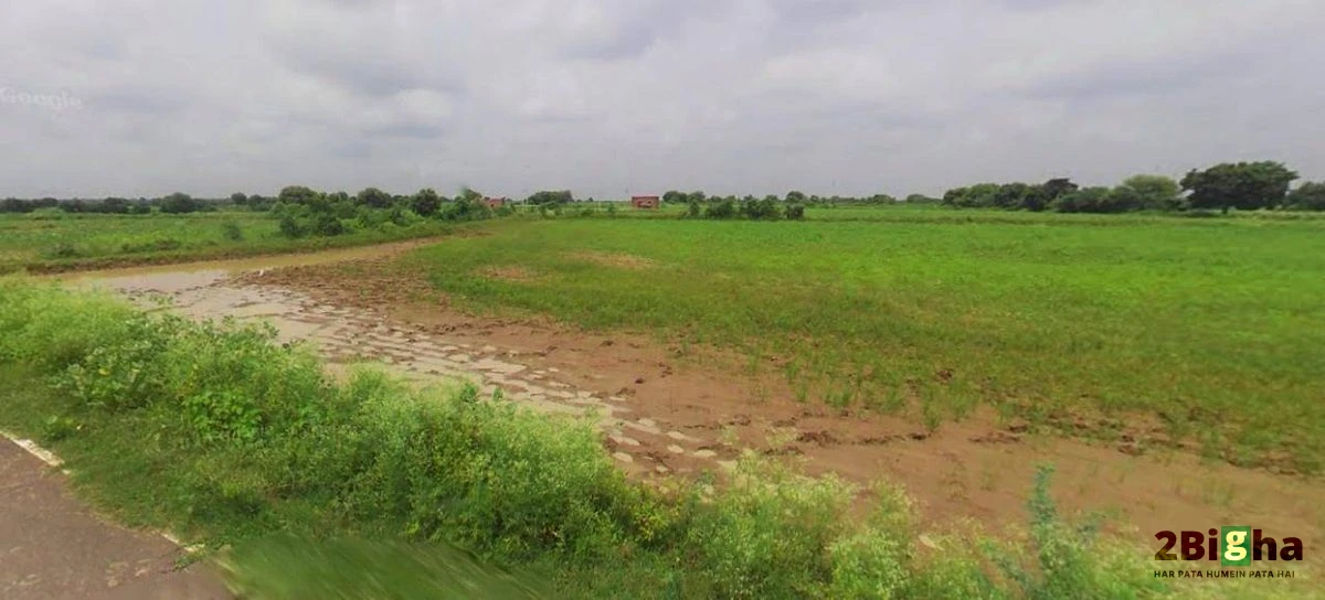 Farukh Nagar, Haryana 122506, India