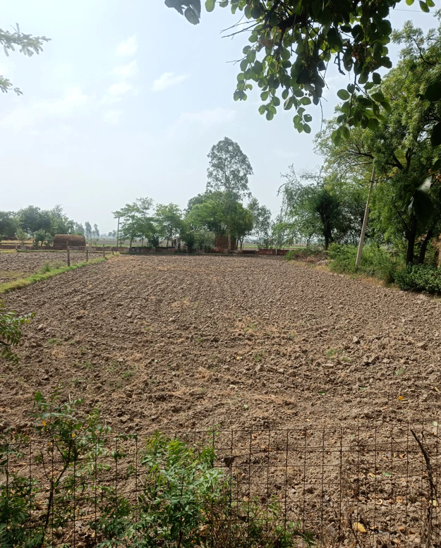 New Chandigarh, Punjab 140901, India