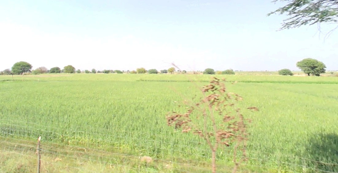 Amjhira, Madhya Pradesh 462022, India