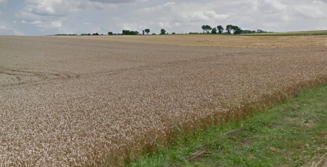 Sultanganj, Madhya Pradesh, India