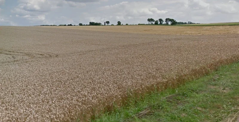 Sultanganj, Madhya Pradesh, India preview 2