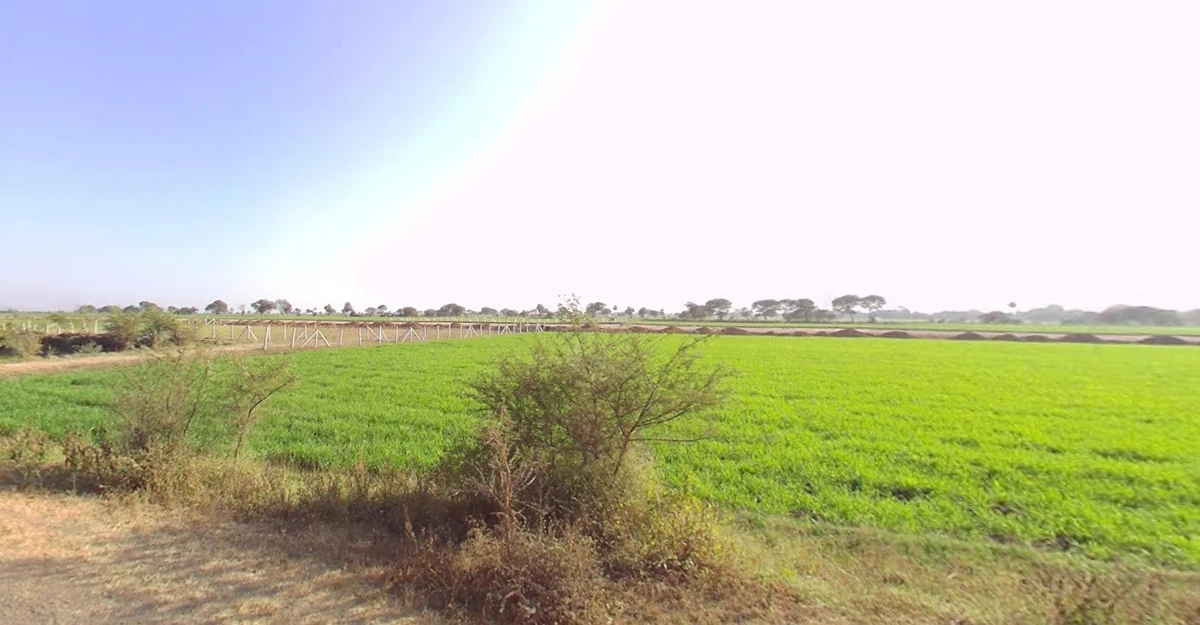 Ankya, Madhya Pradesh 452016, India