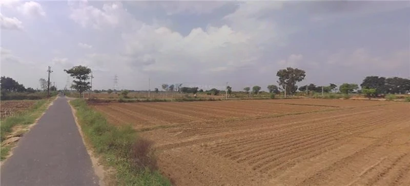 AGRICULTURAL in Sardulgarh/Ranjitgarh Bandra, mansa