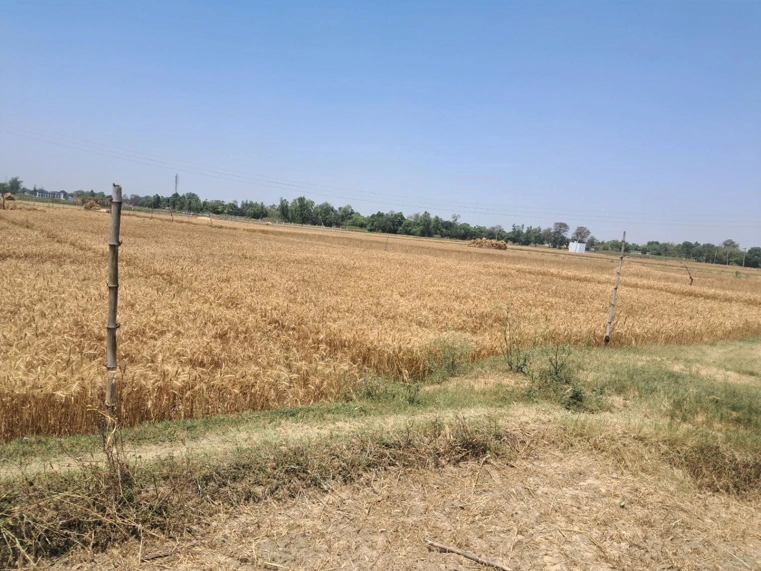 QW8R+33 Deora Kot, Uttar Pradesh, India