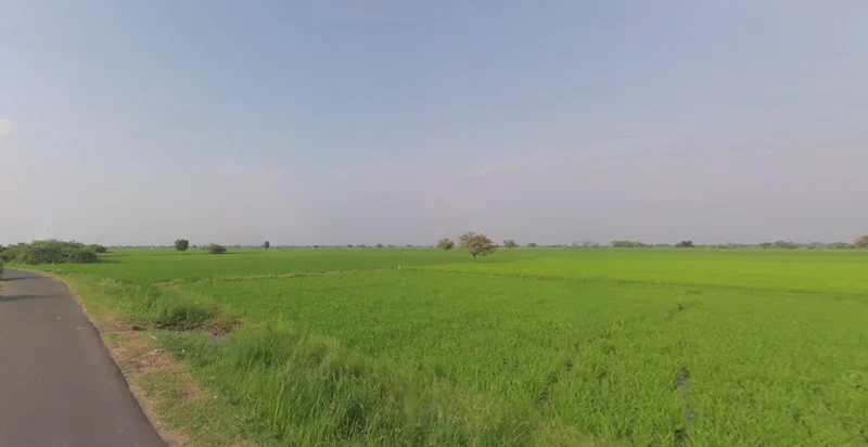 Ganthila, Gujarat 362215, India preview 2