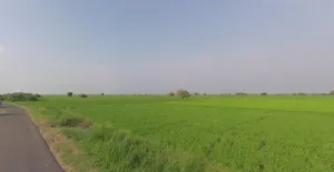 Ganthila, Gujarat 362215, India preview 2