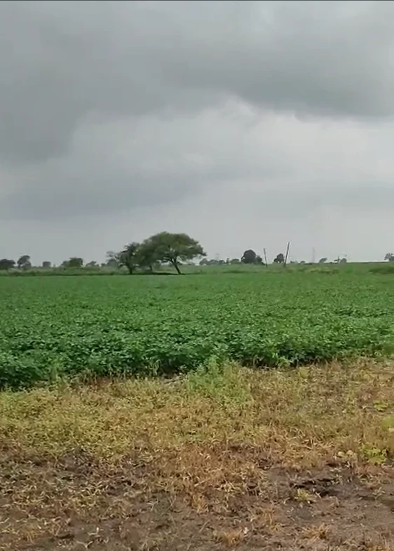 75JC+F6V, Ratlam, Jalod, Madhya Pradesh 454001, India