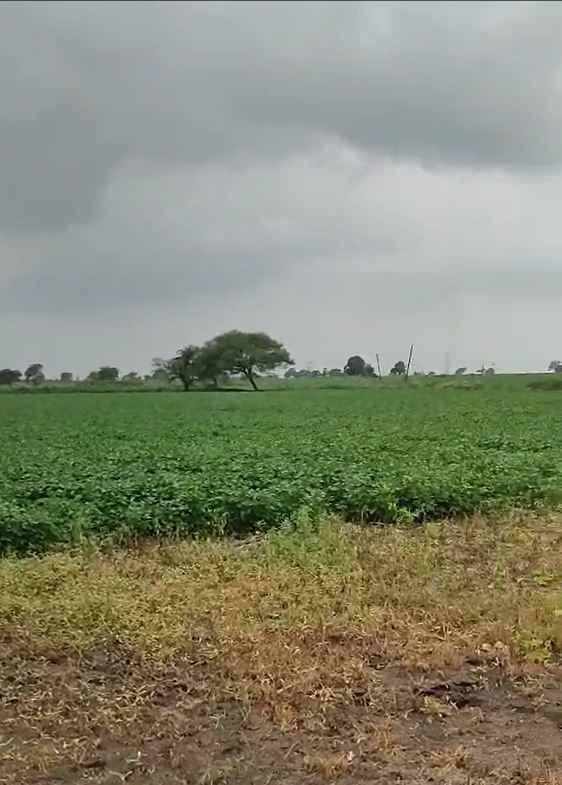 75JC+F6V, Ratlam, Jalod, Madhya Pradesh 454001, India