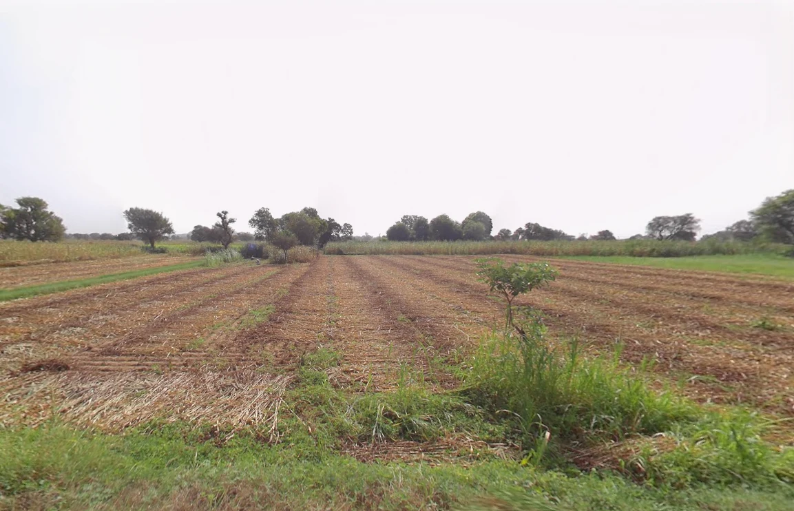 Dahina, Haryana 123411, India preview 2