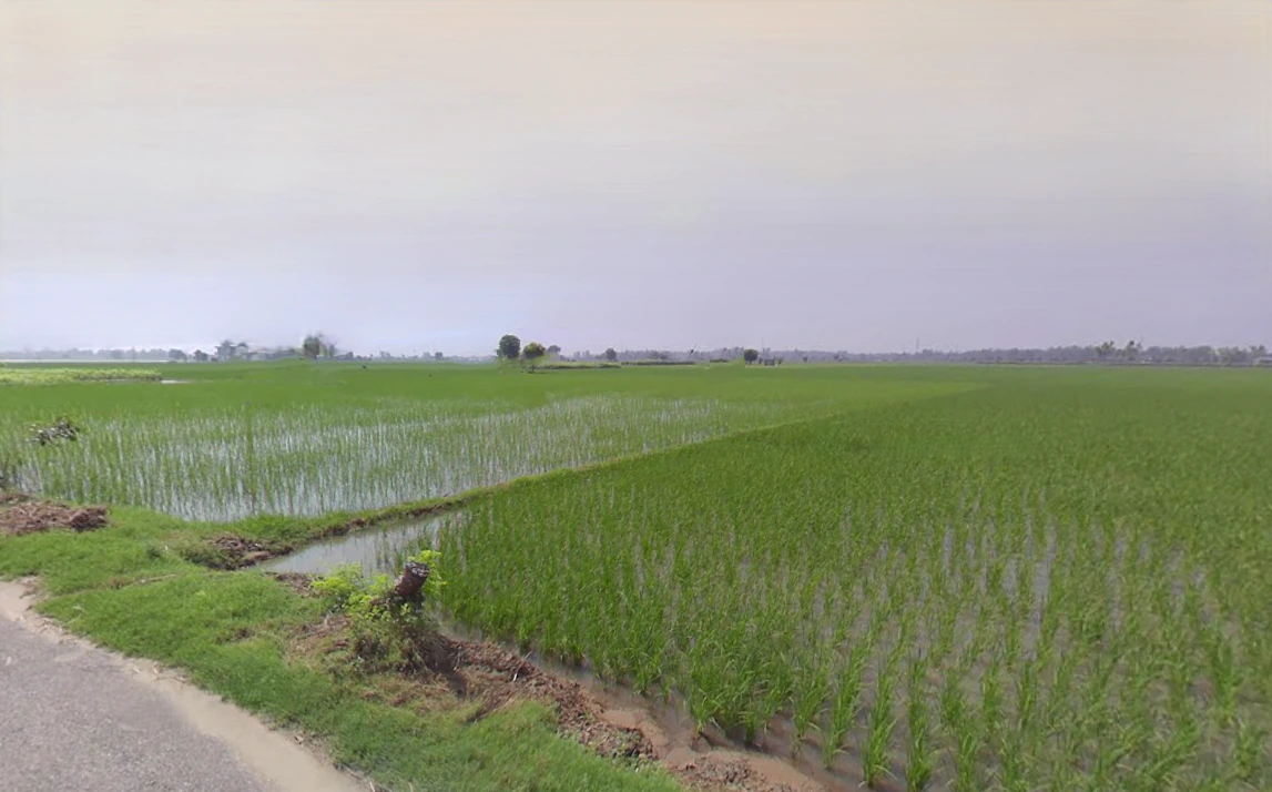 Cheeka, Haryana, India