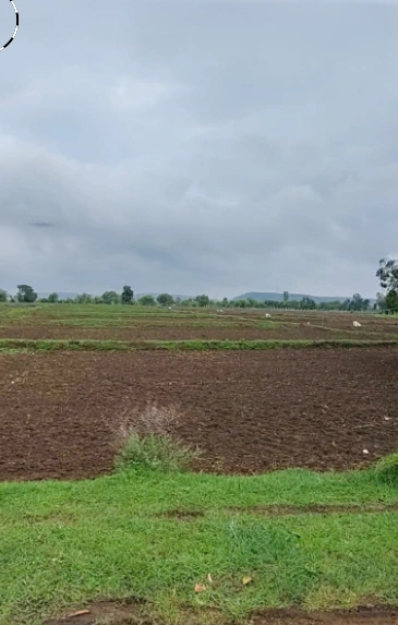 4R29+8PG, Karadiya, Madhya Pradesh 453001, India