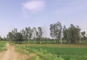 Parashurampuri, Uttar Pradesh 242221, India preview 2